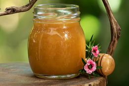 عسل مانُوکا چیست؟ اگر نمی‌دانید، حالا خواهید فهمید!