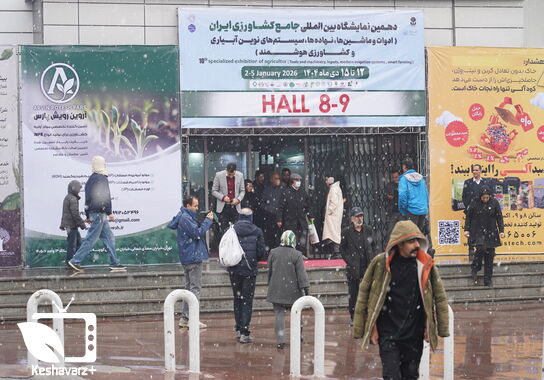 گالری
