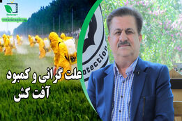 گفتگوی ویژه/ اولویت ما برای تامین آفت کش بخش خصوصی است