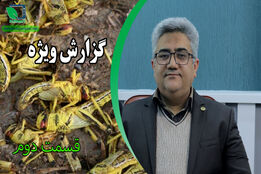 مصاحبه اختصاصی کشاورزپلاس مسعود لطیفیان معاون کنترل آفات سازمان حفظ نبات (قسمت دوم)