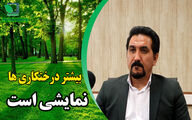 اکثر طرح های جنگل کاری کشور ناموفق است