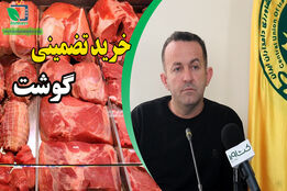 آغاز خرید تضمینی گوشت توسط اتحادیه دامداران کشور