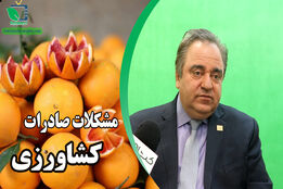 مشکلات و معضلات صادرکنندگان بخش کشاورزی