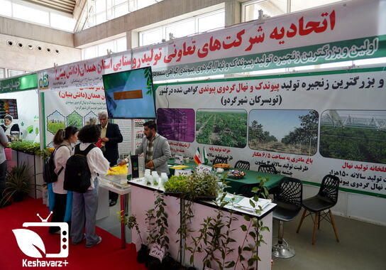 گالری