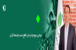 میادین میوه و تره بار، قطع دست دلالان