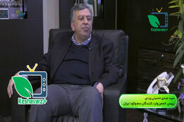 ناگفته های رییس انجمن وارد کنندگان سم وکود ایران در خصوص عدم همکاری جهت نابودی موش های تهران