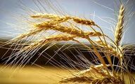 ذخایر راهبردی کالاهای اساسی، متضمن تأمین امنیت غذایی کشور است