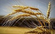 ذخایر راهبردی کالاهای اساسی، متضمن تأمین امنیت غذایی کشور است