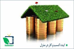 ایده کسب و کار در منزل(قسمت دوم )