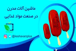 ماشین آلات مدرن  در صنعت مواد غذایی -تولید بستنی چوبی