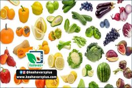 دانستنی های جالب از تفاوت رنگ میوه ها