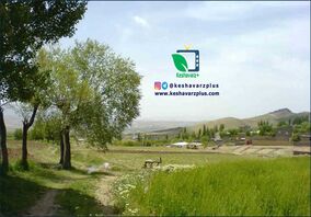 گزارش کشاورز پلاس از روستای چنار شرق شهرستان دماوند