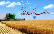 هفته جهاد کشاورزی؛ آزمونی برای هم‌افزایی دولت، بخش خصوصی و رسانه