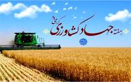 هفته جهاد کشاورزی؛ آزمونی برای هم‌افزایی دولت، بخش خصوصی و رسانه