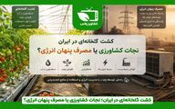  کشت گلخانه‌ای در ایران؛ نجات کشاورزی یا مصرف پنهان انرژی؟