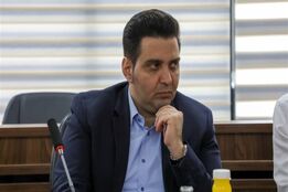 تخم‌مرغ ارزان، تولید گران؛ چرخه‌ای که صنعت را به نابودی می‌کشاند