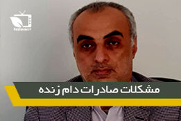 مشکلات صادرات دام زنده