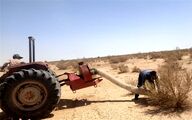 ملخ‌های بومی برای تولید خوراک طیور و آبزیان جارو می‌شوند