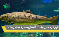 3 برابر شدن قیمت ماهی از مزرعه تا سفره