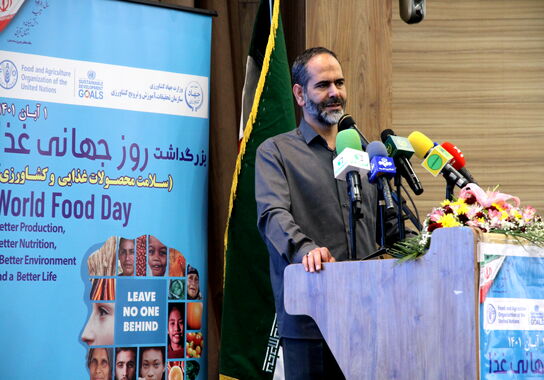 گالری