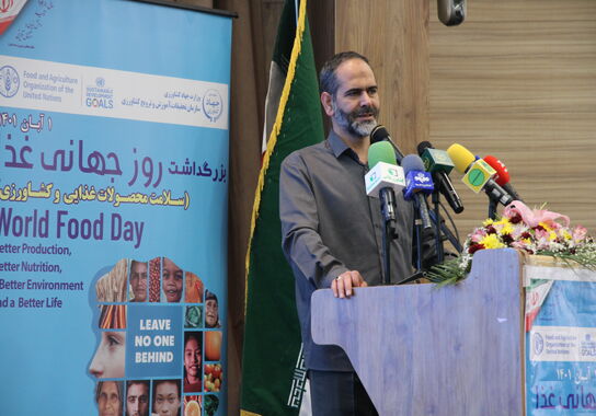 گالری