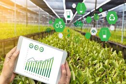 اوج‌گیری غول‌های کشاورزی و صنایع غذایی در سال ۲۰۲۵/عملکرد فراتر از انتظار در بازارهای مالی جهان