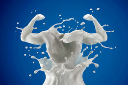 صنعتی که هرگز تعطیل نمی‌شود؛ لبنیات ایران در خط مقدم پایداری غذایی