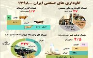 گاوداری های صنعتی ایران