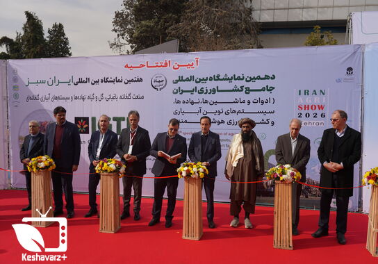 گالری