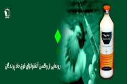رونمایی از واکسن آنفلوآنزای فوق حاد پرندگان
