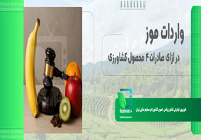 تسهیلات جدید واردات موز در قبال صادرات سیب، کشمش، پرتقال و کیوی ابلاغ شد
