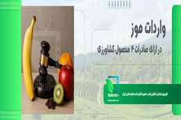 تسهیلات جدید واردات موز در قبال صادرات سیب، کشمش، پرتقال و کیوی ابلاغ شد