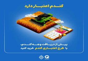 "گندم اعتبار دارد" گرین‌پی ویژه گندم‌کاران 