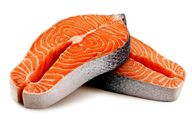  وقتی کشاورزان، ماهیگیران و دانشمندان برای حفظ سالمون کنار هم می‌ایستند