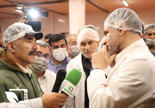گالری