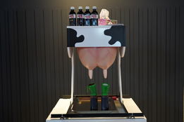 در قاب حیات- 1