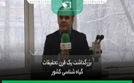 معرفی بخش تحقیقات بیماری های گیاهی 