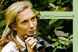 چرا زنده ای!؟ آموزه ای از سبک زندگی و تحقیقات جین گودال