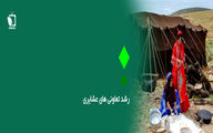 رشد تعاونی های عشایری