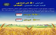 افزایش ۵۰ درصدی قیمت خرید تضمینی گندم در دولت سیزدهم