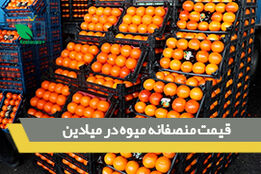 قیمت منصفانه میوه در میادین
