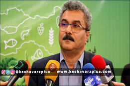 قائم مقام معاونت توسعه بازرگانی و صنایع کشاورزی: با هر نوع صادرات و وارداتی موافقیم
