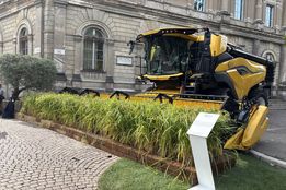 برنج؛ میراثی که با تکنولوژی ایتالیایی‌ها زنده می‌ماند