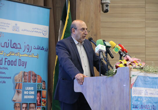 گالری