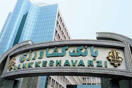 تسهیلات خرید نهاده بانک کشاورزی را مرغداران نمی‌خواهند
