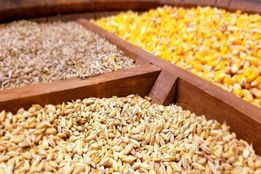 پرداخت تسهیلات برای خرید نهاده‌ با حذف ارز ترجیحی