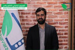 عدم پیش بینی‌ در واردات نهاده‌، عامل گرانی گوشت و مرغ است