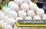 وزیر جهاد کشاورزی: برای کنترل و برقراری آرامش در بازار تخم مرغ در تلاش هستیم