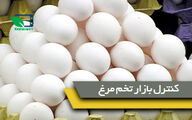 وزیر جهاد کشاورزی: برای کنترل و برقراری آرامش در بازار تخم مرغ در تلاش هستیم