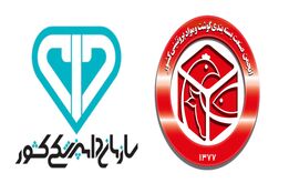 واگذاری پرچالش، اما شجاعانه؛ سازمان دامپزشکی از رانت تا شفافیت